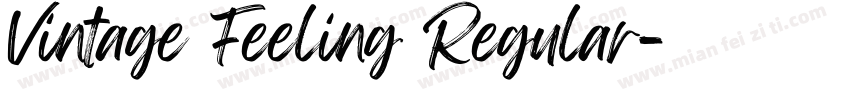 Vintage Feeling Regular字体转换